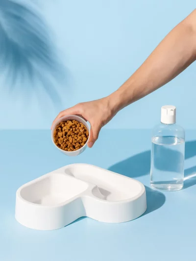 Automatic Pet Feeder for Dogs & Cats