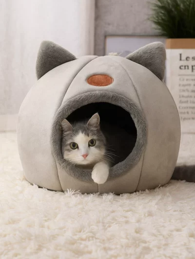 Cat & Small Dog Bed