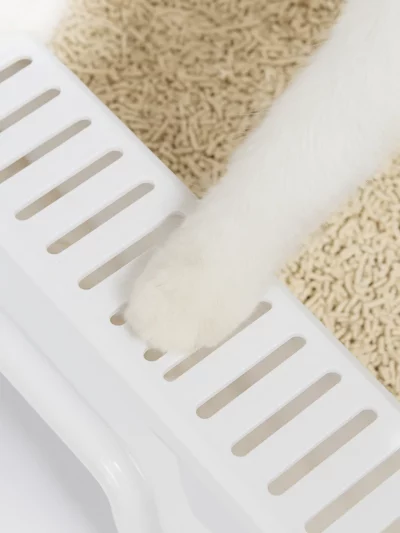 Foldable Covered Cat Litter Box with Scoop & Sifting Tray