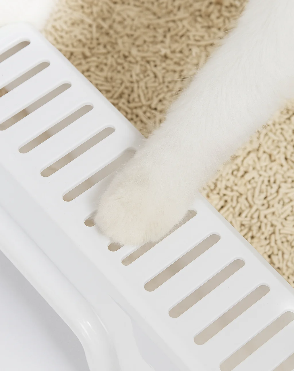 product claw & cuddly accessories dogs cats