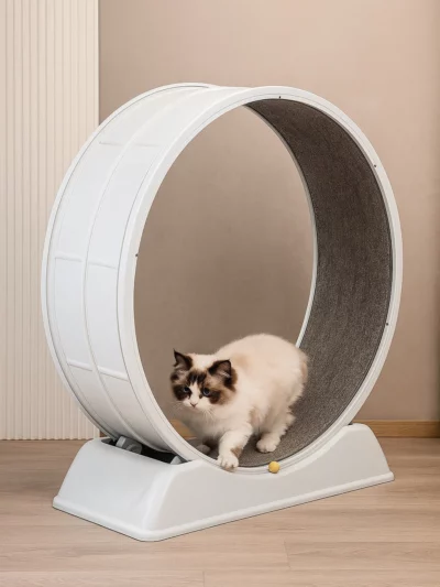 Cat Exercise Wheel