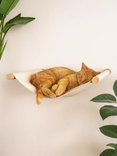 Cat Hammock