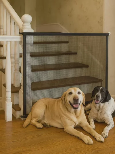 Dog Safety Gate