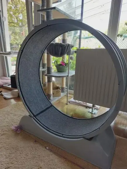 product claw & cuddly accessories dogs cats